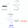 Palestine Polytechnic University (PPU) - Palestine Polytechnic University Researcher Innovates in Biopolymer Chemistry