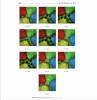 Palestine Polytechnic University (PPU) - نشر ورقة علمية للطالبة الباحثة نفين أبوغليون في مجلة Journal of Applied Analysis and Computation